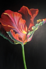 Tulpe: Acryl 65 x 105 cm